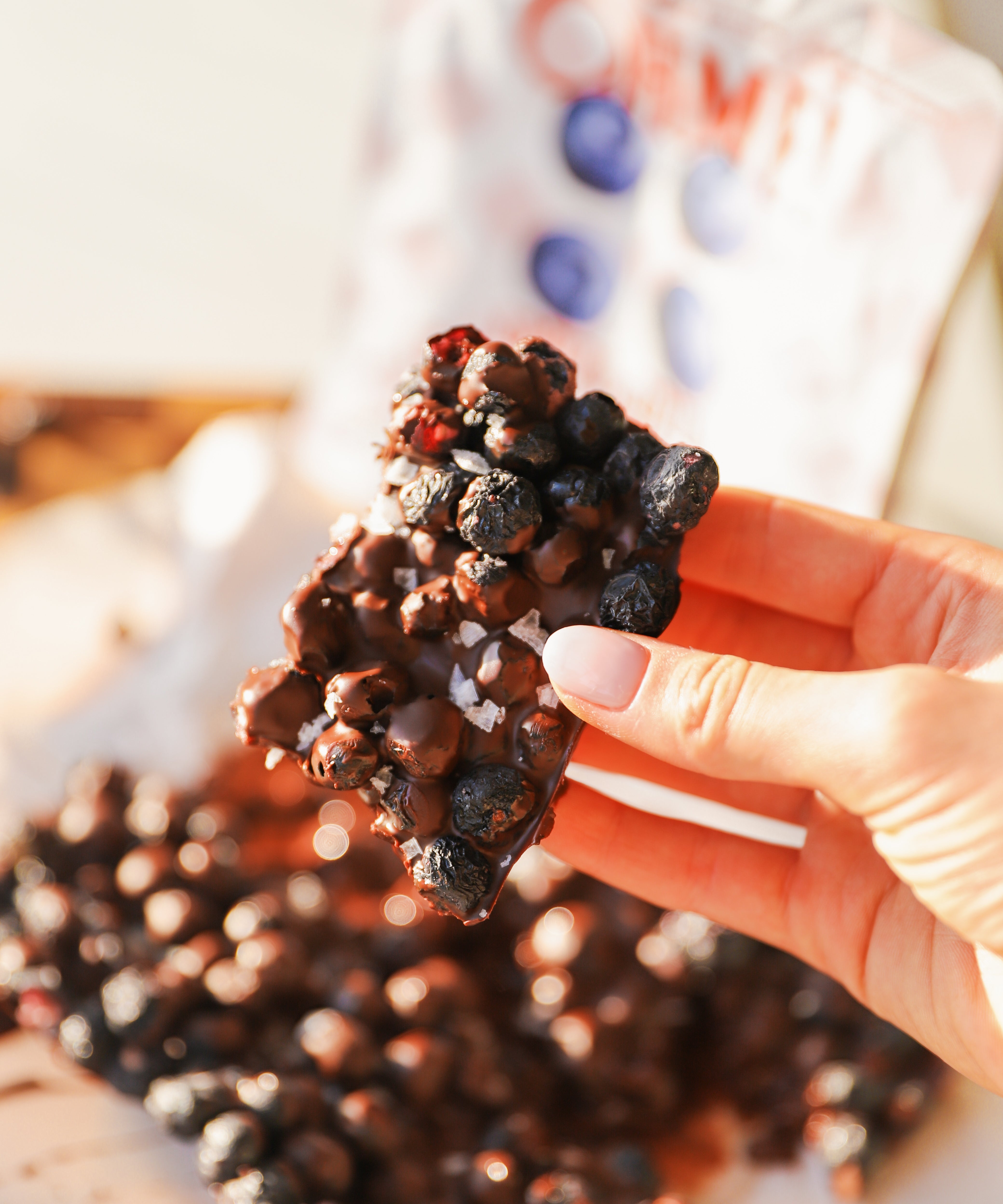 Blueberry Chocolate Bark