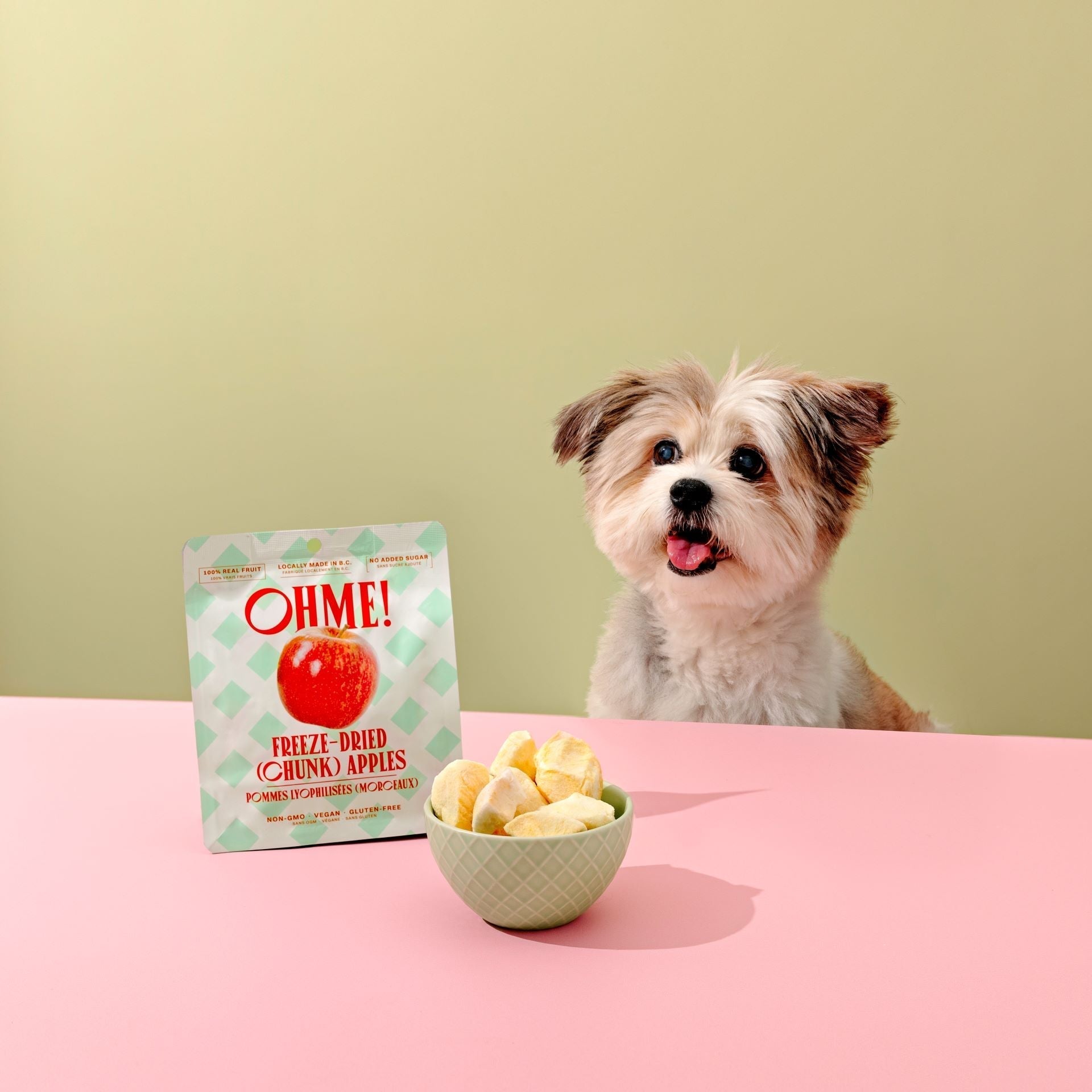 🐾 Why Freeze-Dried Fruits Are Great for Pets?