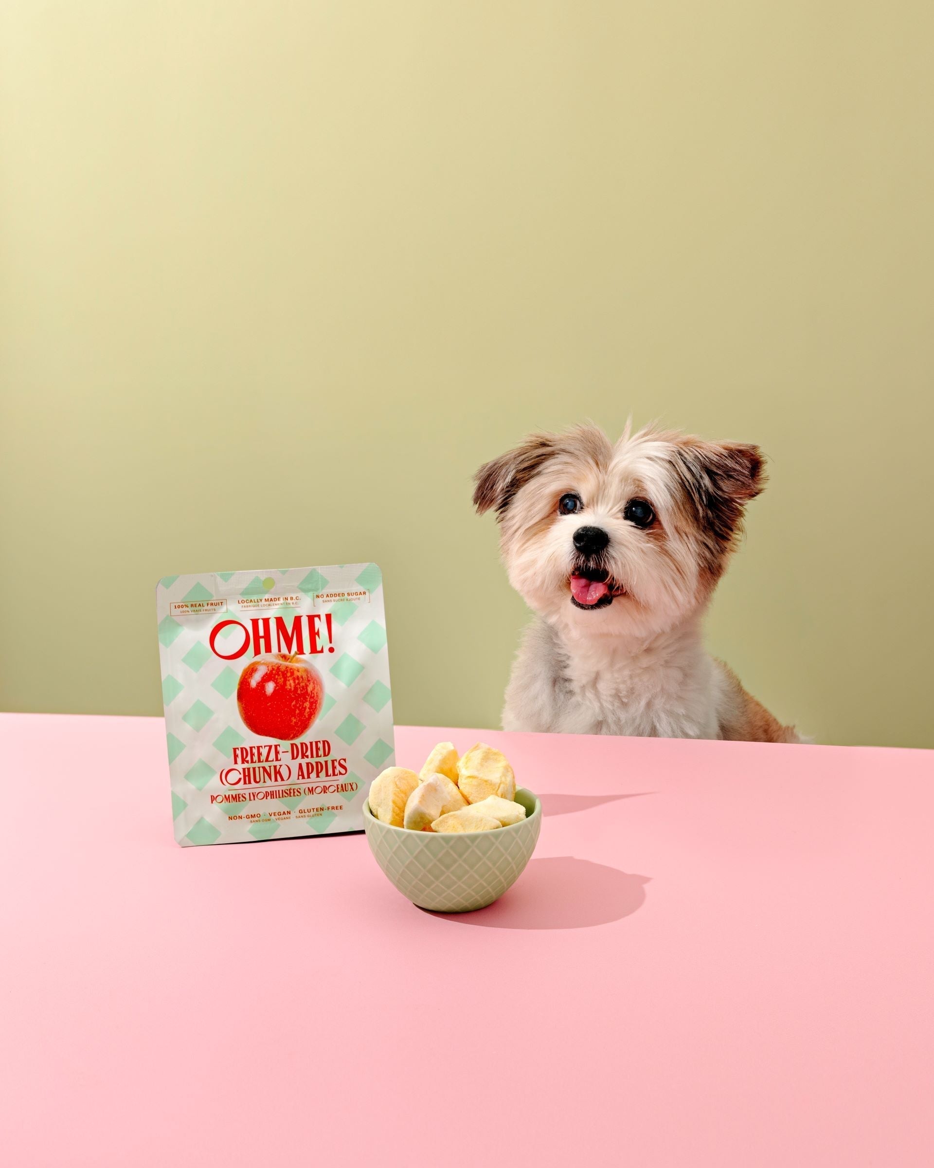 🐾 Why Freeze-Dried Fruits Are Great for Pets?