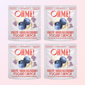 Bundle of Blueberry Yogurt Crunch (10 Minis)