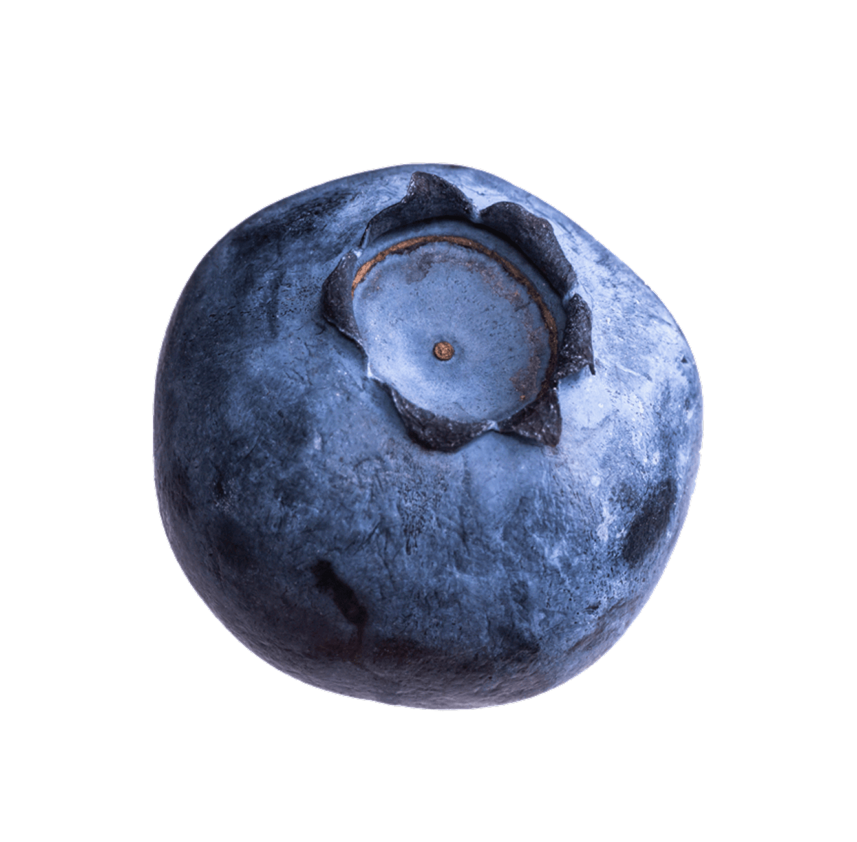 Freeze Dried Blueberries (Whole)