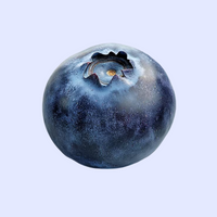 Blueberry