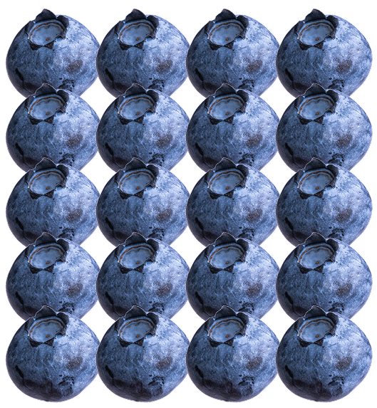 Pattern of blueberries arranged in a grid on a white background