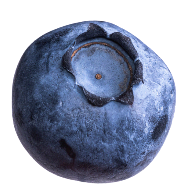 Freeze Dried Blueberries (Whole)