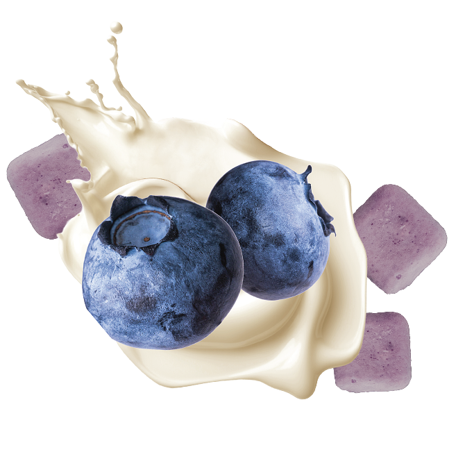 Blueberries with cream and purple cubes on a yogurt background