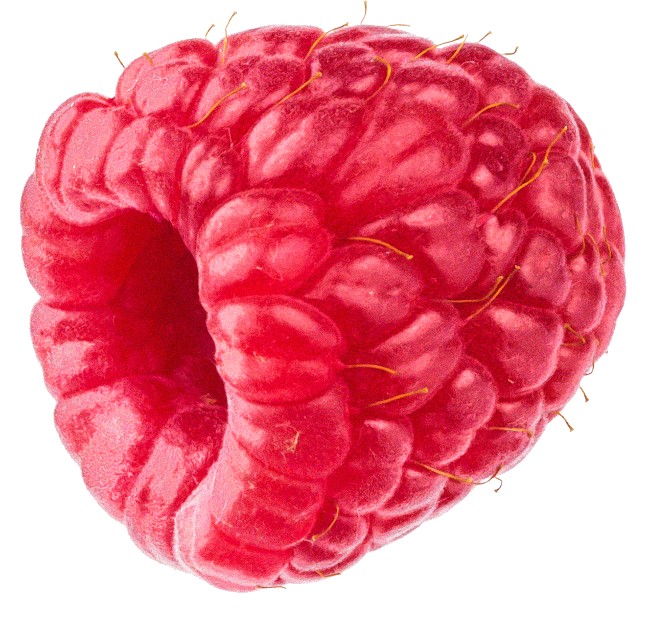 Freeze Dried Raspberries (Whole)