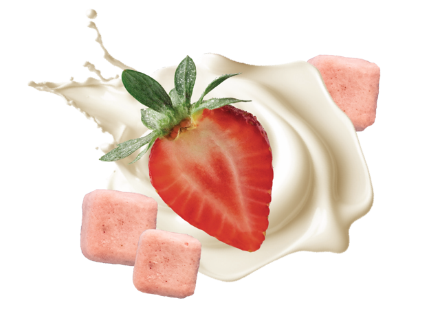Freeze Dried Strawberry Yogurt Crunch