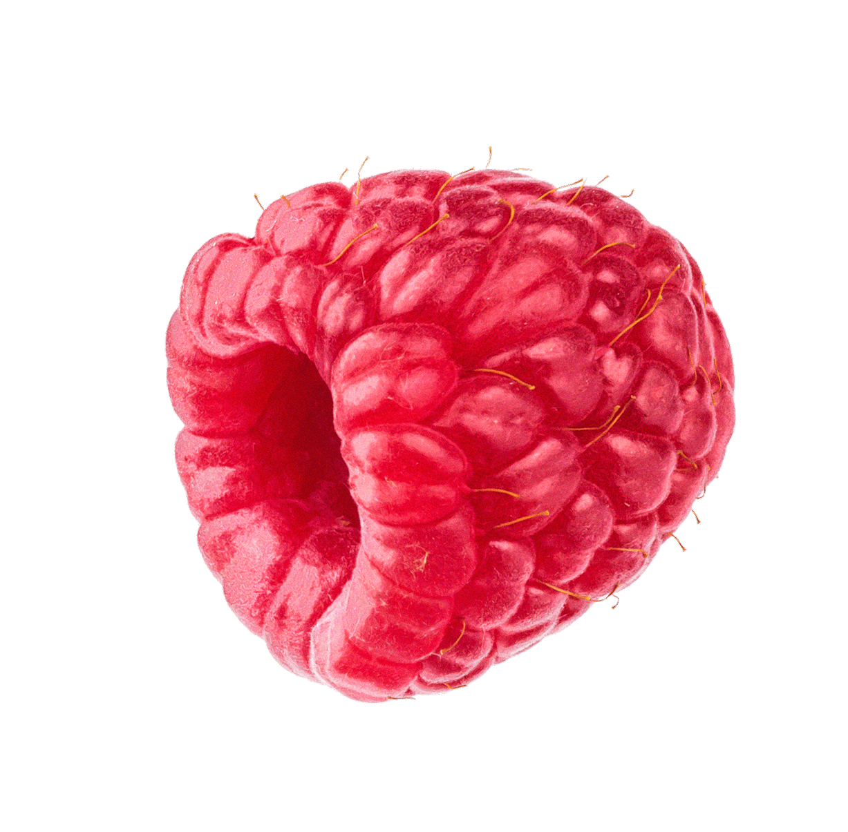 Freeze Dried Raspberries (Whole)