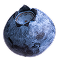 blueberry